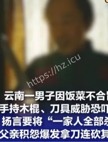 儿子长期家暴家人